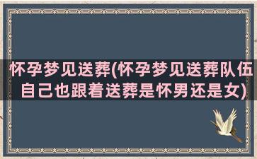 怀孕梦见送葬(怀孕梦见送葬队伍 自己也跟着送葬是怀男还是女)